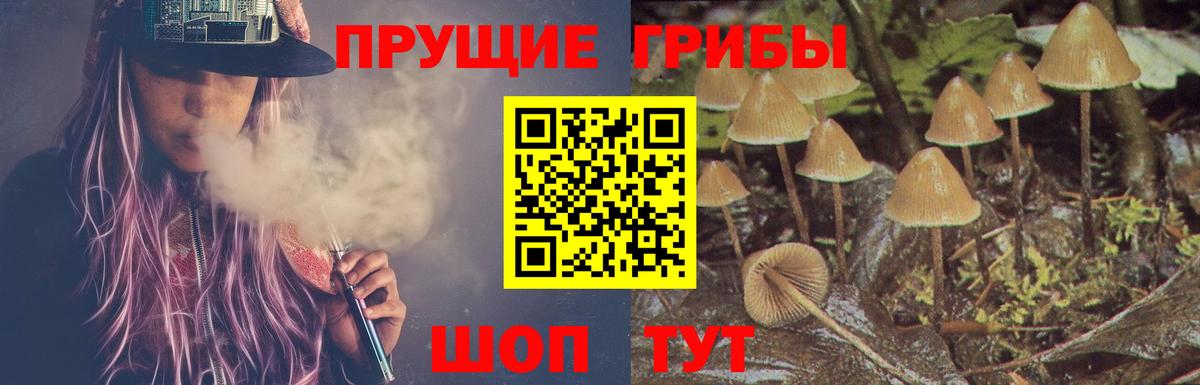 Галлюциногенные грибы прущие грибы Владикавказ
